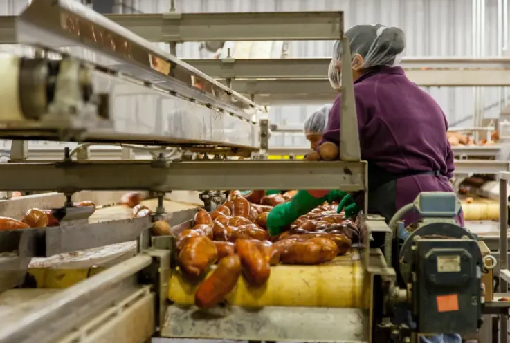 woman working at production line